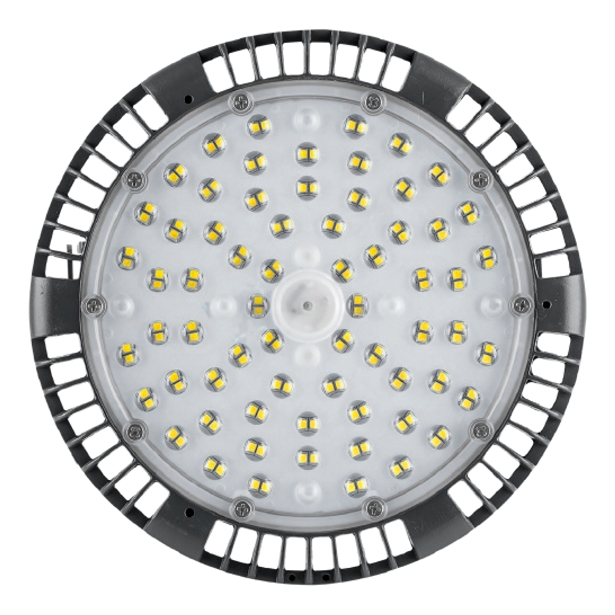 Galponera Pro 100W